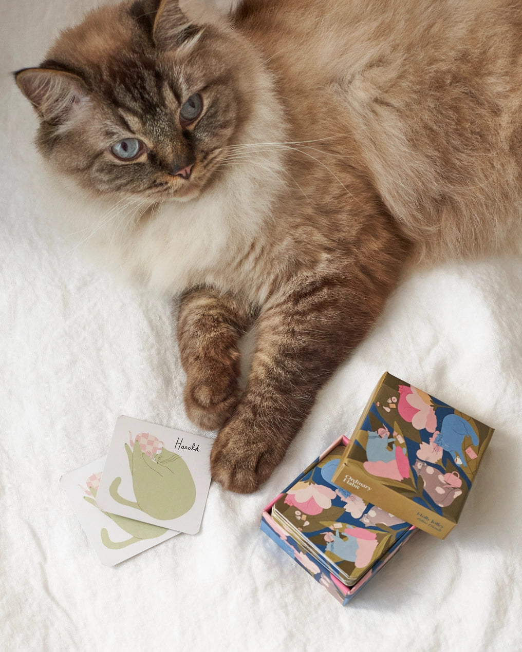 Holly Jolley: Feline Friends Matching Cards Game
