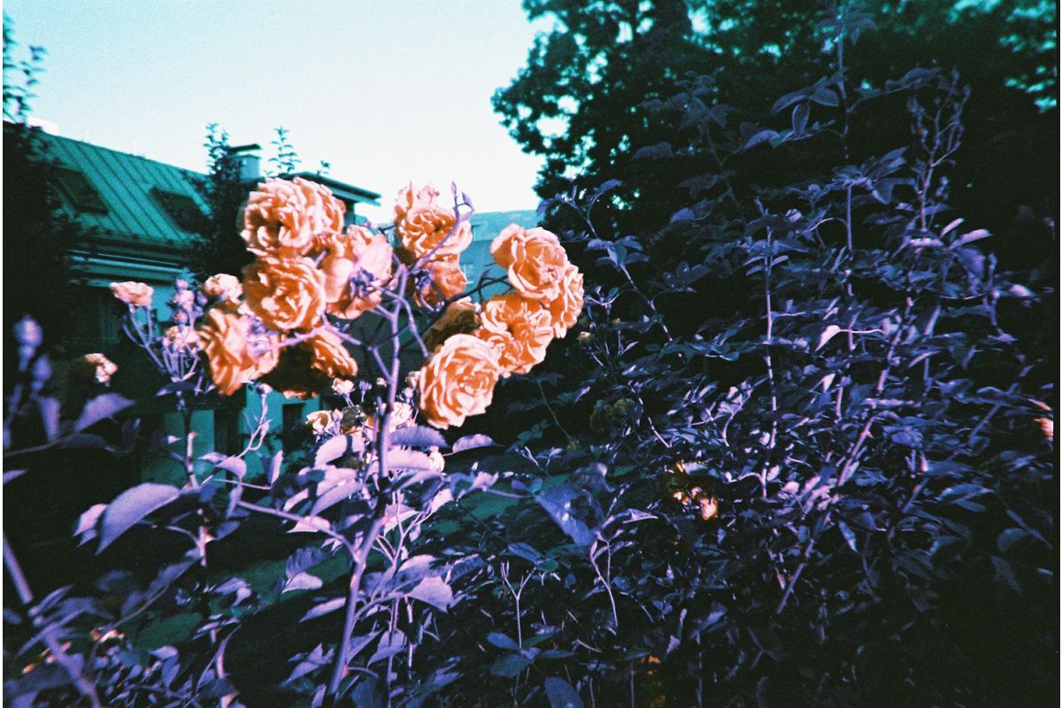 Simple Use Reloadable LomoChrome Purple 35mm Camera