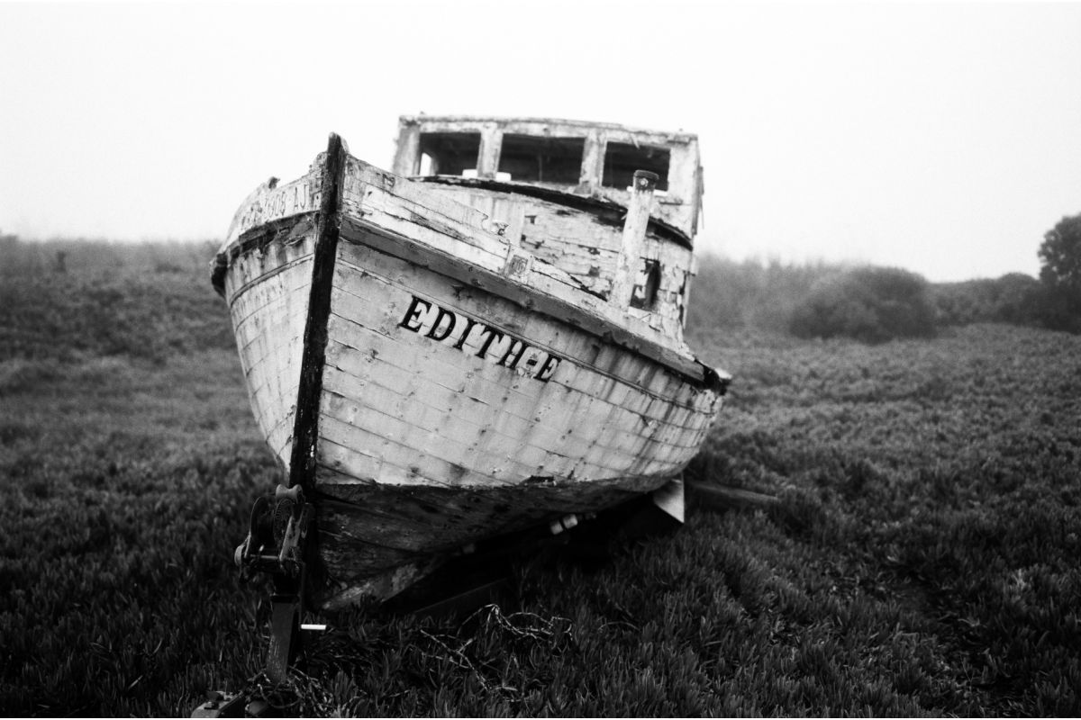Earl Grey B&W (3-pack): 35mm Film