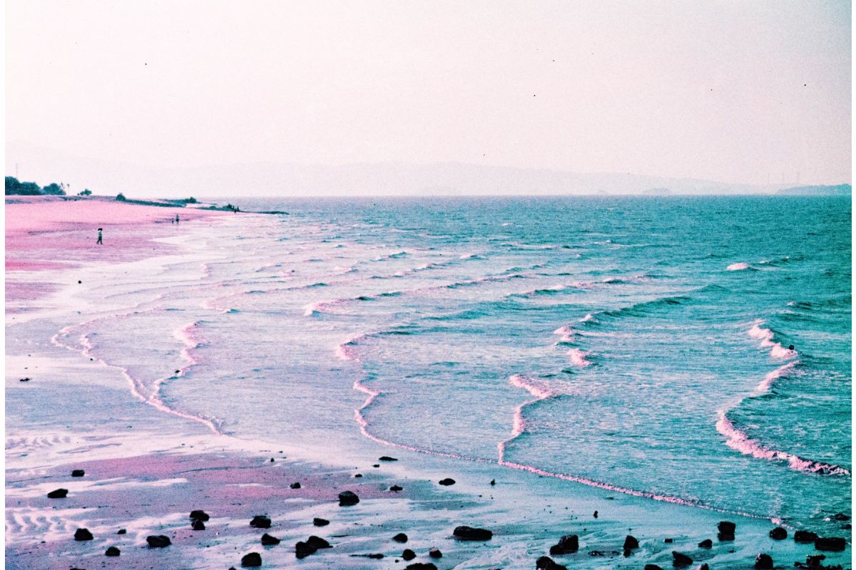 LomoChrome Purple Pétillant (Single Pack): 35mm  Film