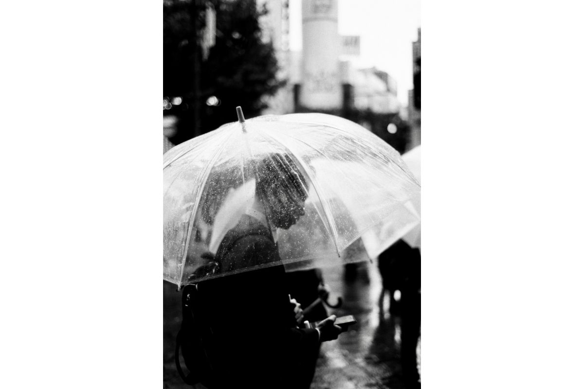 Earl Grey B&W (3-pack): 35mm Film
