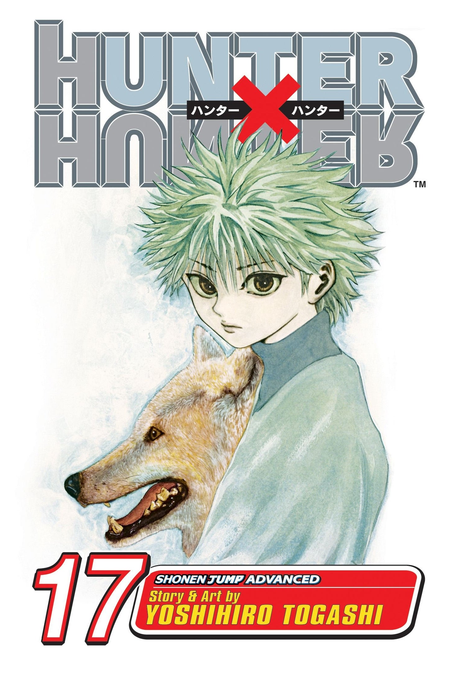 Hunter x Hunter: Vol. 17