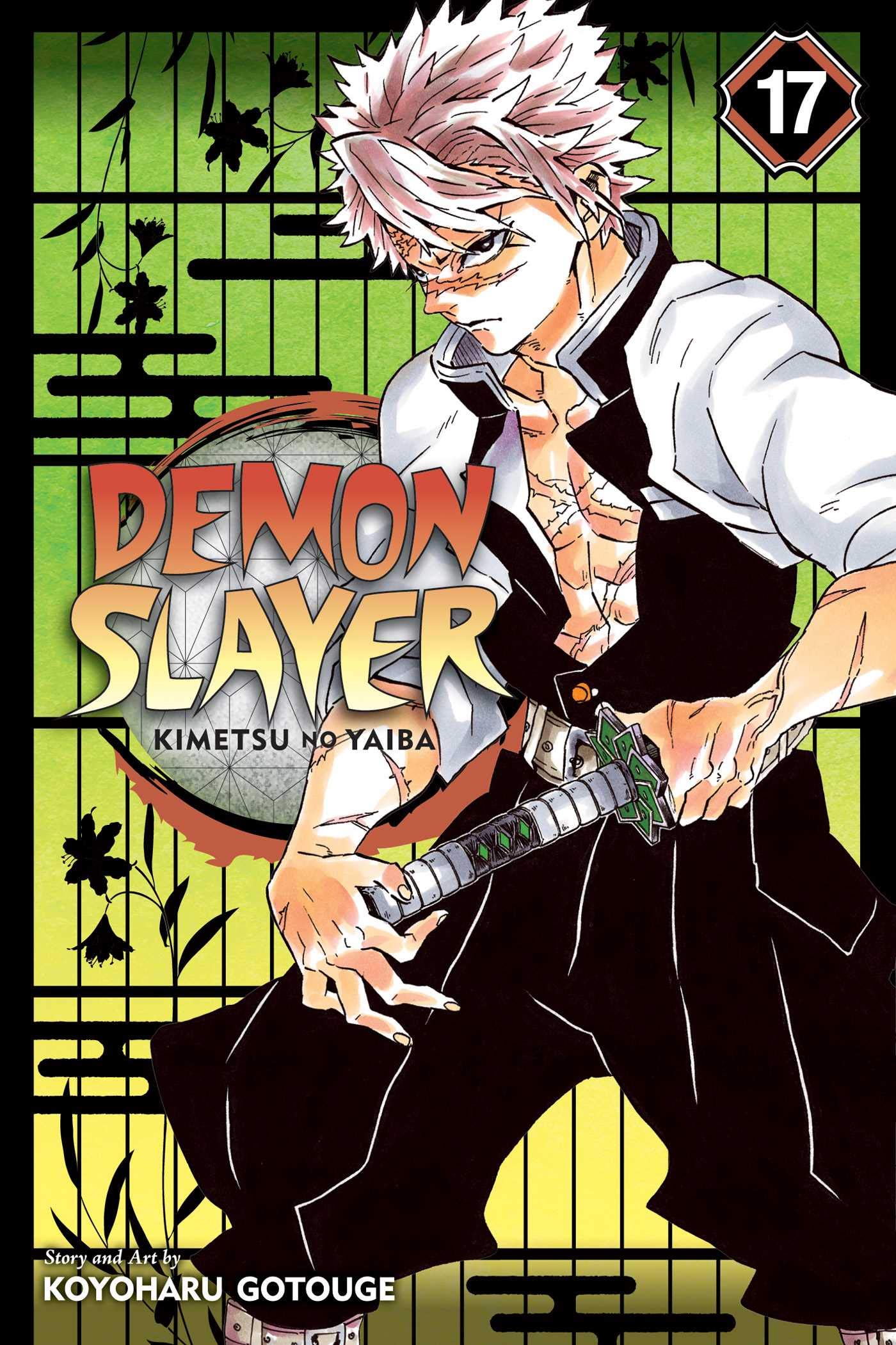 Demon Slayer: Kimetsu no Yaiba: Vol. 17