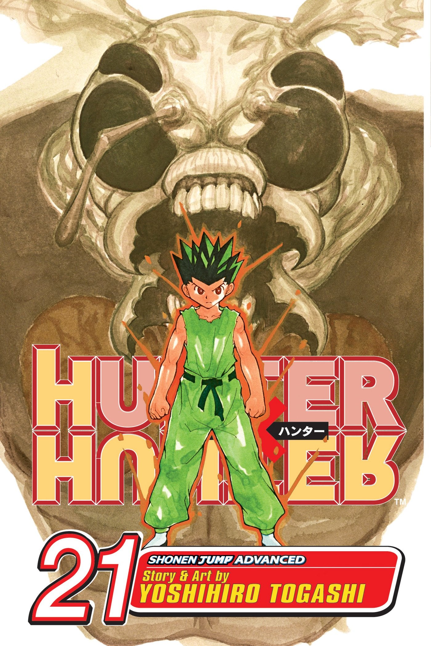 Hunter x Hunter: Vol. 21