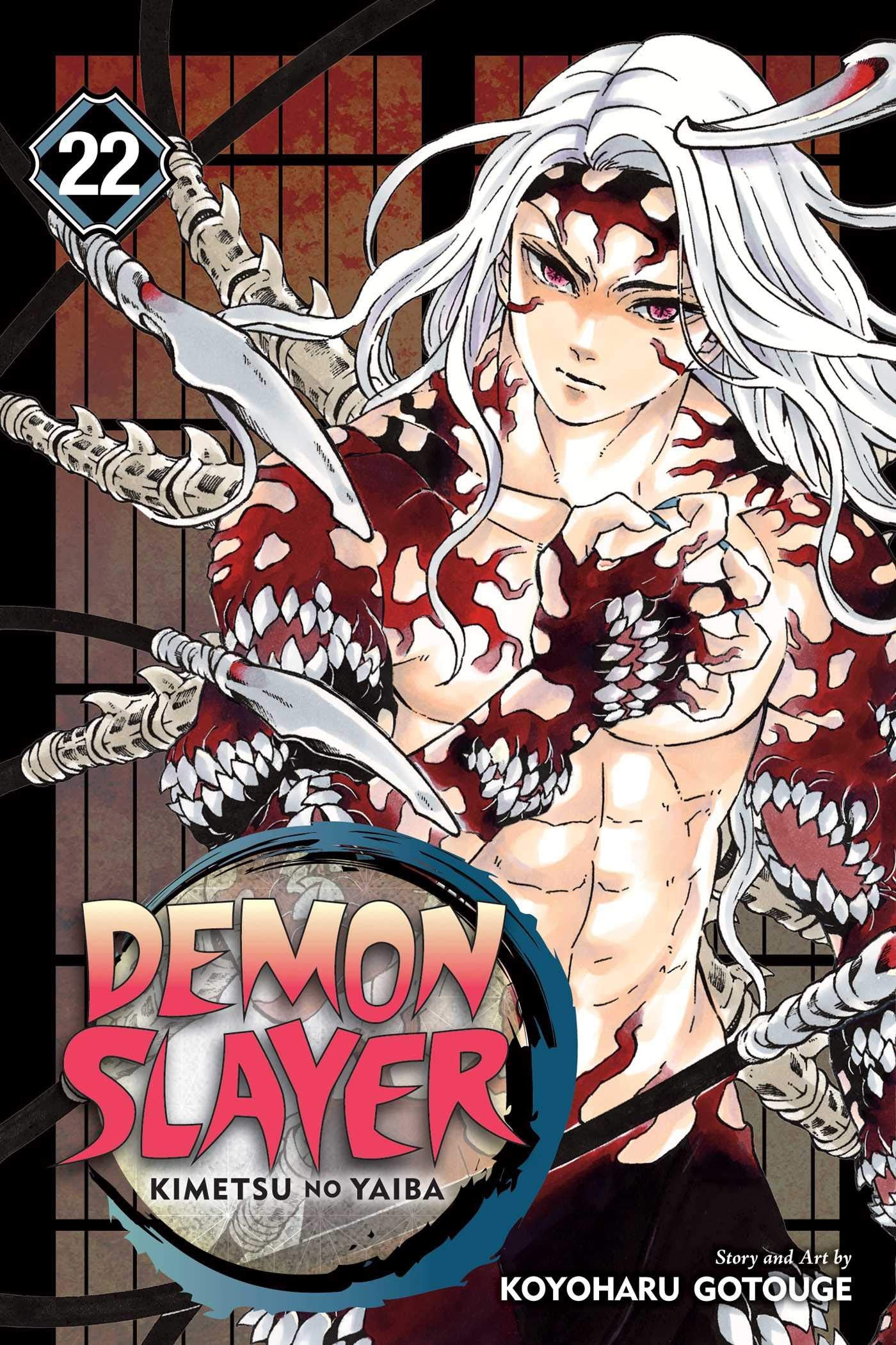 Demon Slayer: Kimetsu no Yaiba: Vol. 22