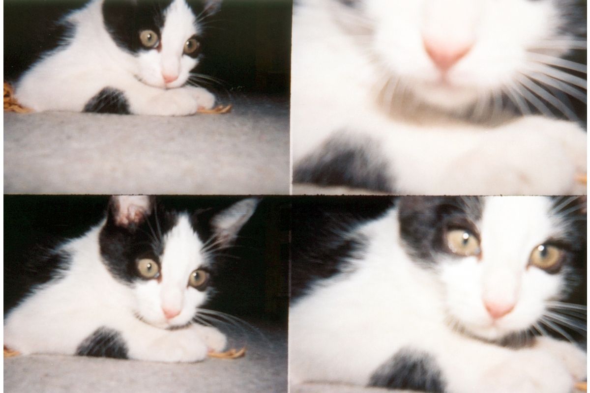 Action Sampler 35mm Camera